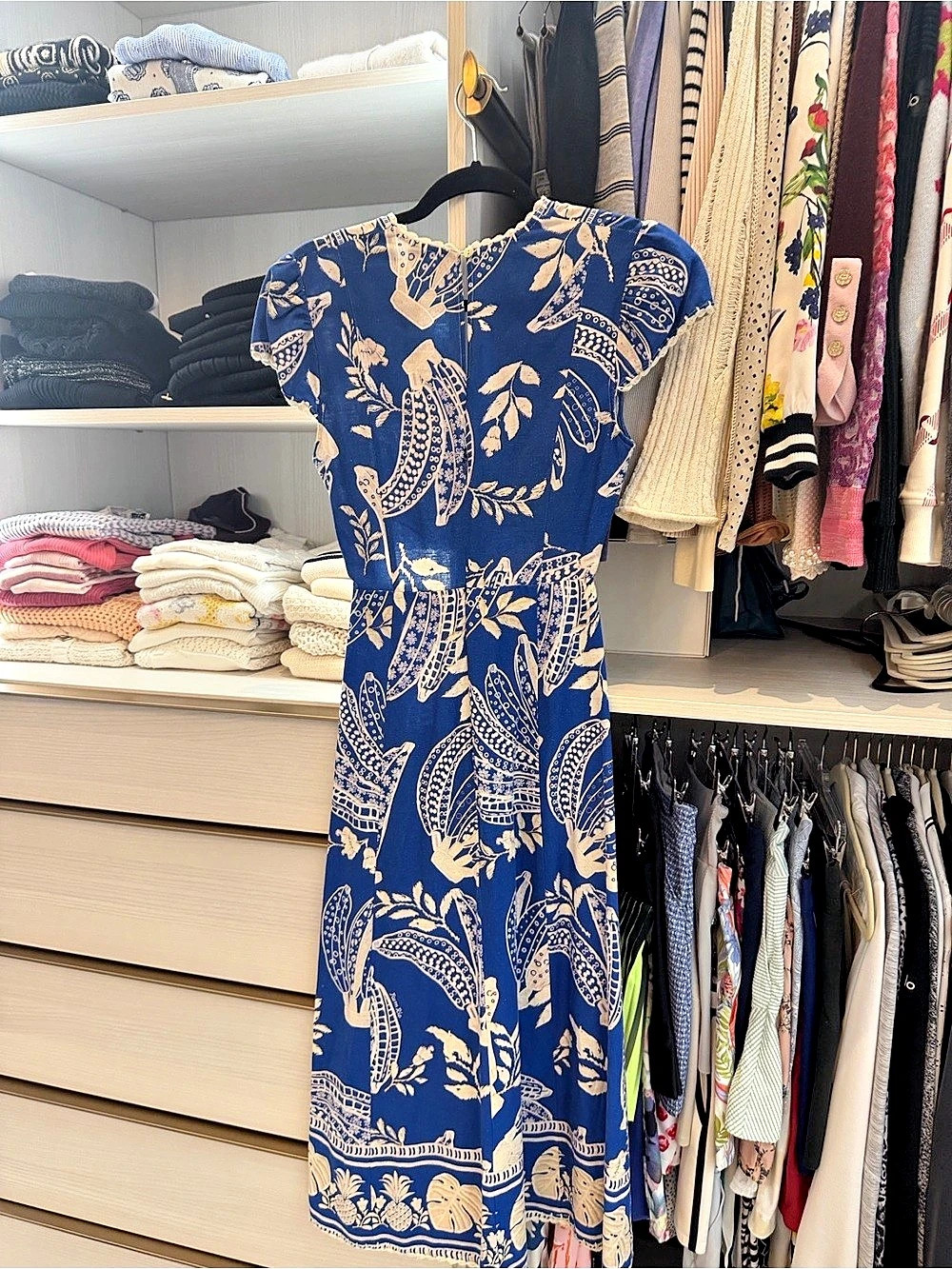 Farm Rio Blue Banana Grapes Sleeveless Maxi Dress Blue & Cream XS